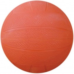 Net Ball